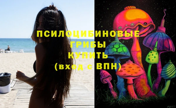 мяу мяу мука Арсеньев
