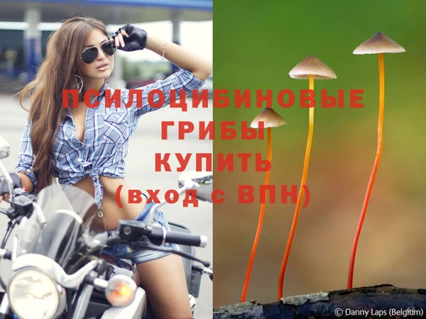 мяу мяу мука Арсеньев