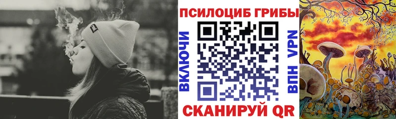 MEGA онион  Сурск  Псилоцибиновые грибы GOLDEN TEACHER 
